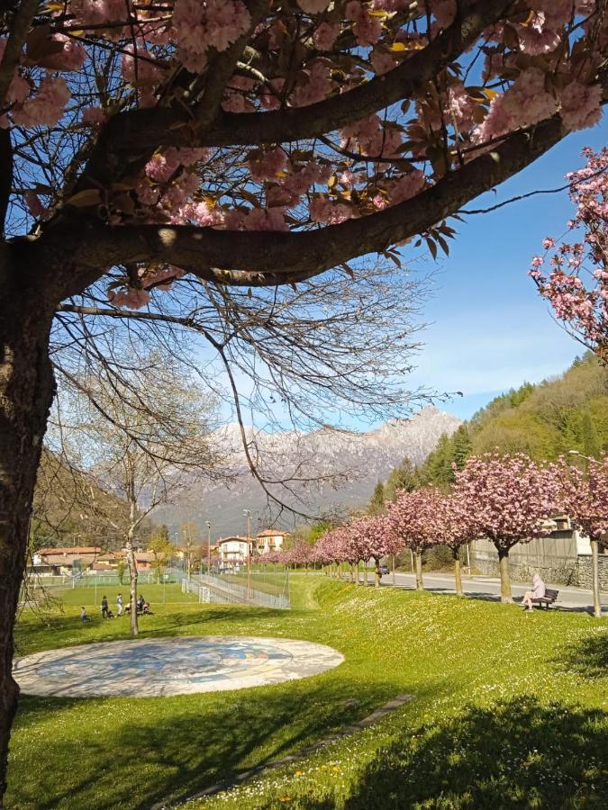 Mountains And Lake Como Apartments Valbrona Ngoại thất bức ảnh